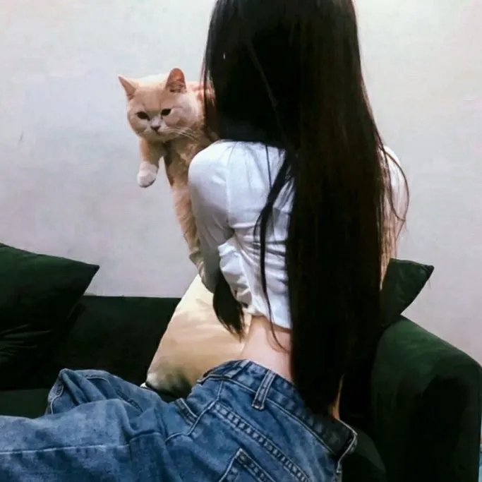 聪明的小母鸡